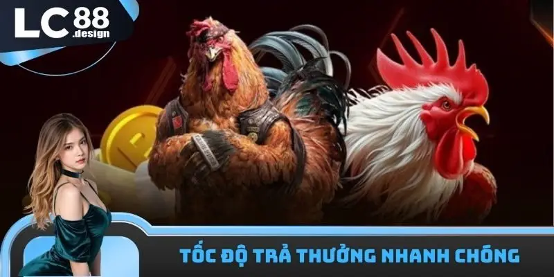 LC88 trường gà Campuchia trả thưởng nhanh