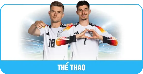 layout thể thao